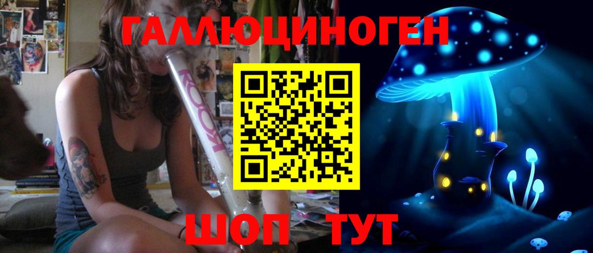 Кимры  Галлюциногенные грибы Cubensis  Псилоцибиновые грибы Psilocybine cubensis  Вход с VPN 
