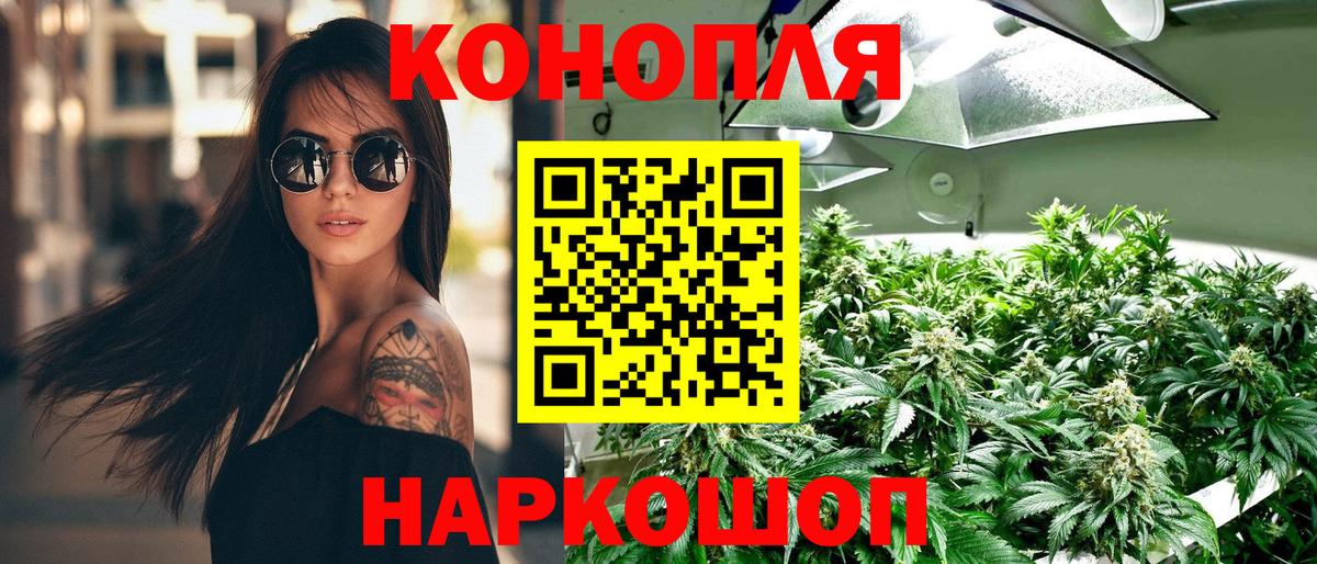 Кимры  МАРИХУАНА марихуана  Канабис конопля  Вход с VPN  Бошки марихуана индика 